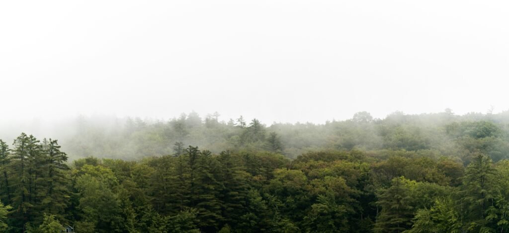 bannière, nature, pitoresque